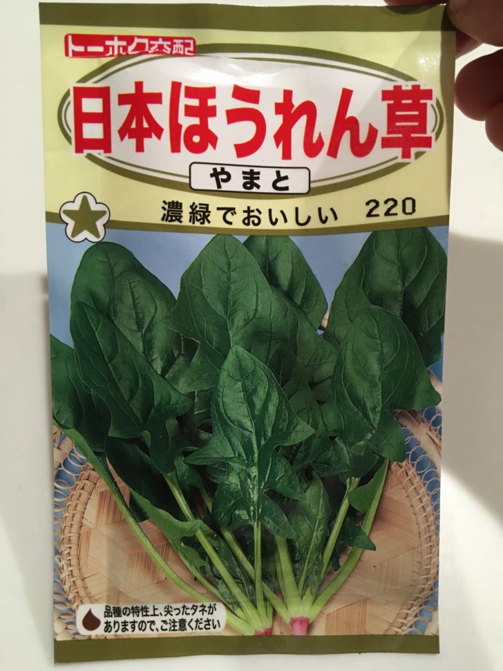 ほうれん草の種