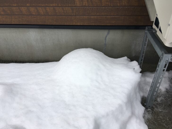 雪が積もったガザニア