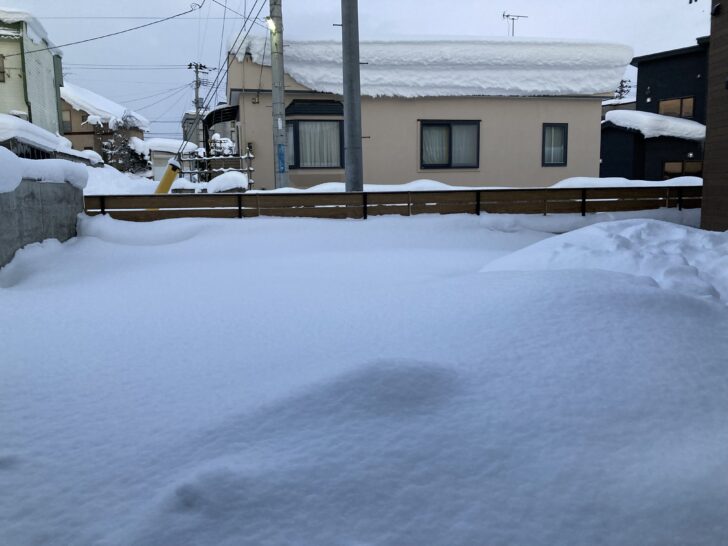 菜園の積雪の様子